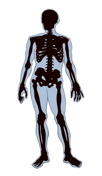アンティークヘルス大人の男性の図椎骨の繊維要素は 白いテキスト空間に立っている 概要黒描画古い顔部分オルガンオブジェクトのロゴは レトロな古代美術版画スタイルのフロントビューでスケッチ — ストックベクタ