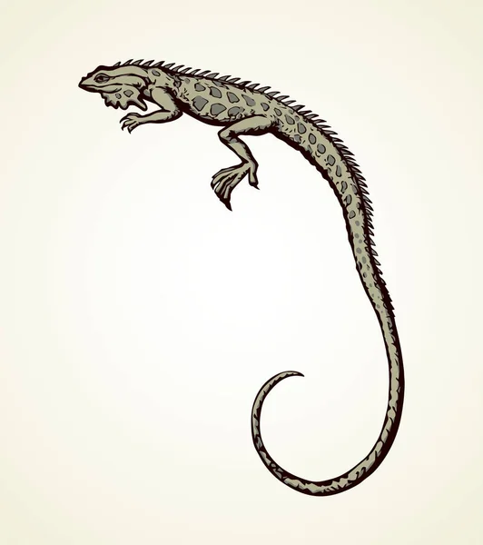 Squamate Vieux Reptiles Lacertilia Animal Isolé Sur Fond Blanc Encre — Image vectorielle