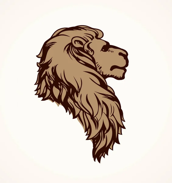 Krásný Africký Hrdý Mocný Šlechtic Velký Starý Leo Divoký Hledá — Stockový vektor