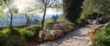 Yerushalayim, Gethsemane, Orta Doğu, Temmuz 2016. Yahudiye eski kutsal başkenti. Antik şehir Getsemani görünümü metin için yer ile mavi gökyüzü. Ünlü Yahudi kutsal toprak ibadet yeri Musevi King David