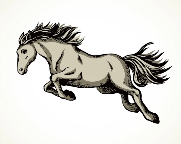 Kebanggaan Yang Indah Putih Courser Cerdas Belakang Peternakan Pacuan Kuda - Stok Vektor