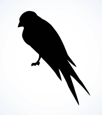 Yakından bakınca, şirin yalnız martlet seti. Hafif kağıt işleri metin alanı arkaplanı. Taslak koyu mürekkepli kalem el çok fazla elektrik kablo logosu pictogram amblem tasarımı çizdi. Modern sanatçı çizgi baskı biçimi