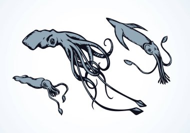 Beyaz arka planda büyük, sevimli, egzotik kırmızı kalamar canavarı. Freehand çizgisi siyah mürekkep el çizimi resim logosu kabataslak, eski resim karalaması, grafik stili. Metin için alanı olan yakın görünüm