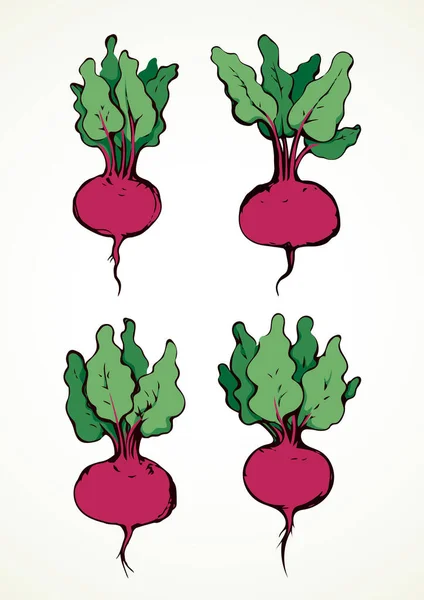 Lekkere Rijpe Sappige Rauwe Frisse Bruisende Paarse Raphanus Geïsoleerd Witte — Stockvector