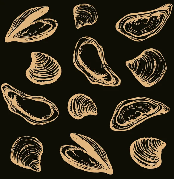 Big Fresh Perl Ostreidae Mollusc Dark Backdrop Outline Black Ink — Stock Vector