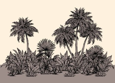 Sıcak yaz zamanı güneşli Hawaii plajı manzarası beyaz gökyüzü arkaplanındaki yazı için uzayda izole edilmiş. Serbest ve siyah el çizilmiş Lush çalı dalı çizim desen tasarım sembolü sanat karalama grafik vektör biçimi