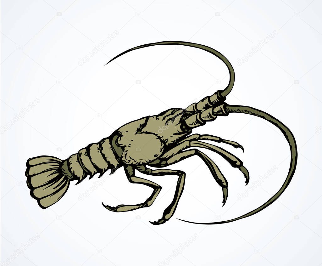 Big old grey anthropod panulirus mudbug set isolated on white background. Freehand bright color hand drawn picture logo sketchy in art scribble retro style. Closeup view with space for text