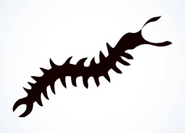 Kağıt altlığı arkaplanındaki şirin, eski, büyük organizma. Serbest çizgili kahverengi renkli mürekkep el, Asya Böceği Hayvanat Bahçesi amblem tasarımını retro sanat doodle gravür stiliyle çizdi. Mikro görünümü kapat