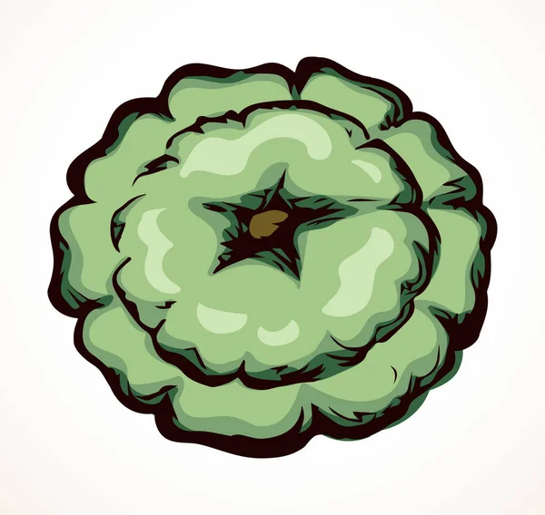 Крупный План Милый Спелый Зеленый Зеленый Вегетарианский Маленький Бутон Установить — стоковый вектор