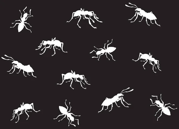 Montón Formicidae Eusocial Oscuro Tablero Oscuro Aficionado Tiza Ligera Lineal — Vector de stock