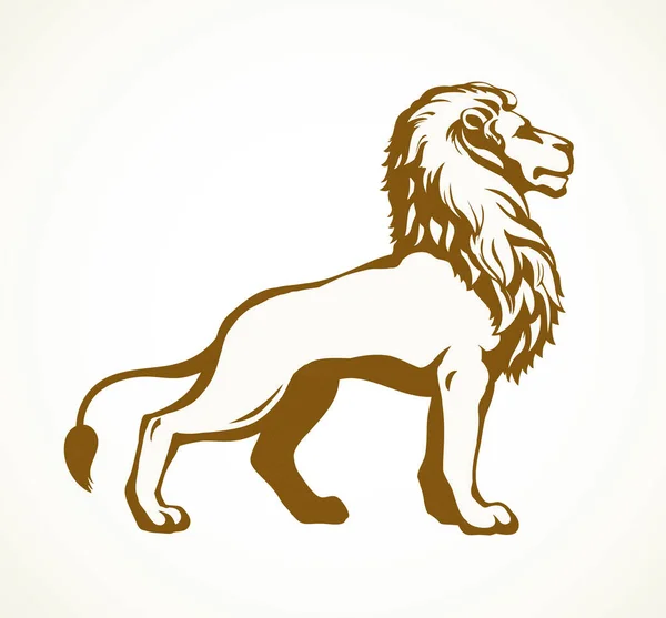 Krásný Africký Hrdý Mocný Šlechtic Velký Leo Stojící Divoký Hledá — Stockový vektor