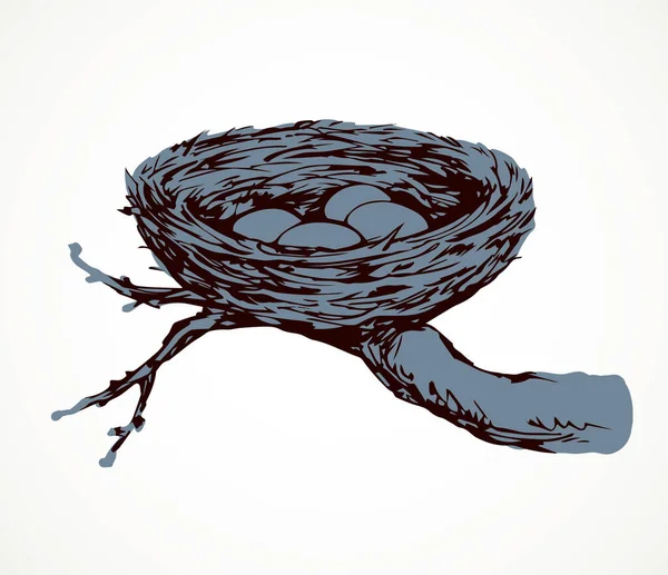 Nueva Ramita Tejida Eco Birdnest Sobre Fondo Blanco Línea Tinta — Vector de stock