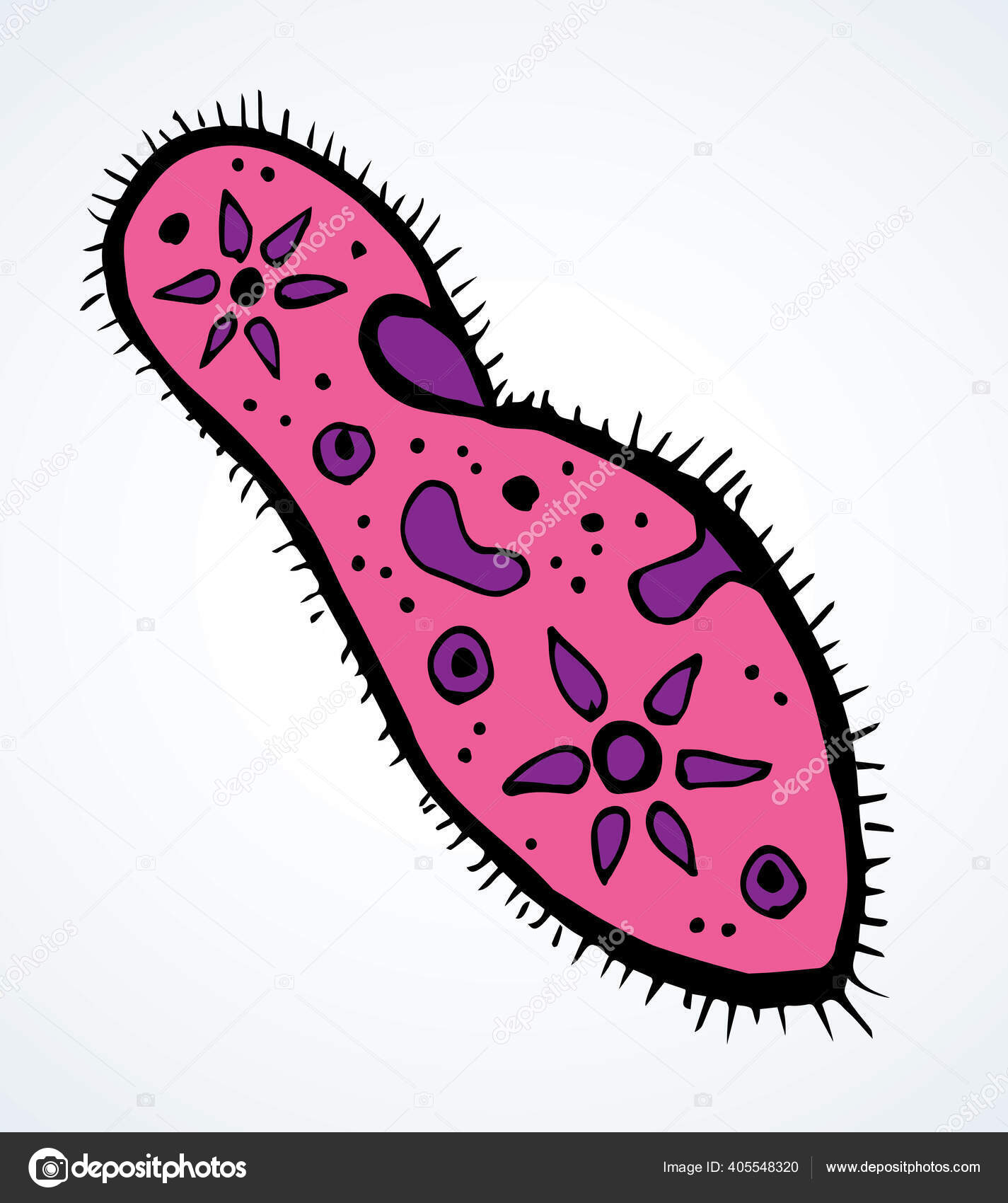 20 Paramecia-stockillustrasjoner | DepositPhotos, image size:1425x1700