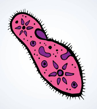 Soyut oval şekil küçük protist amip organelle pellicle parazit elementi. Çizgi siyah el çizilmiş laboratuvar mikrop simgesi sembolü pictogram şeması çizimi Art doodle çizgi film tarzı tasarımı. Yakın görünüm