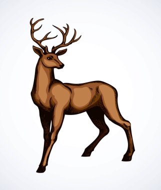 Güzel, eski asil Cervidae canavar askısı görünüşü. Siyah el çizimi amblem tasarımı retro sanat çizimi doğrusal zooloji oyma biçimi. Yan görünüm hafif kağıt metin arkaplanını kapat