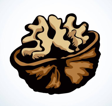 Büyük sonbahar bahçe kapsülü ışık arka planına kurulmuş. Freehand ana hatları siyah mürekkep kalem el çizimi kalori obje amblemi pictogram tasarımı retro sanat doodle gravür baskı biçimi. Makro görünümü kapat