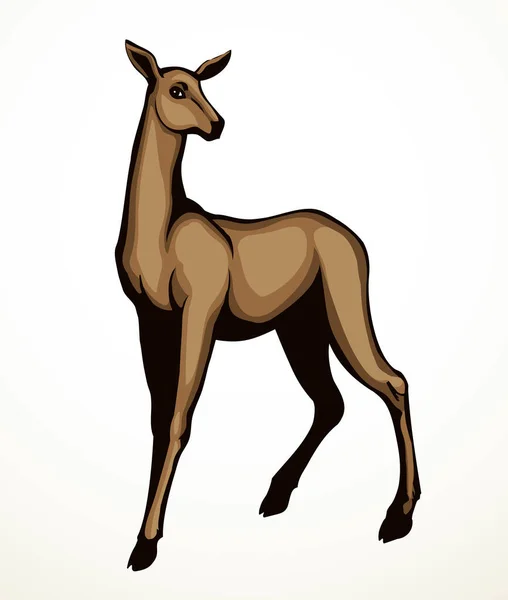 Cute Elegant Spot Adult Hoof Elk Goat Dama Beast Muzzle — Stock Vector
