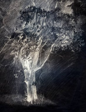 Baharın arka bahçesindeki eski şeftali ağacı sahnesinin gölgesi. Serbest ve hafif tebeşir vuruşları çizgisi eko resim tasarımı çizimi sanatsal karalama antika kalemle karanlık tahta arka planda