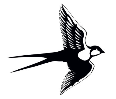 Yakından hoş bir martlet seti. Hafif sanat eserleri metin alanı arkaplanı. Koyu mürekkepli el çizimi resim amblemi çerçeve dekoru tebrik kartı tasarımı. Modern sanatçı karalama çizgisi baskı biçimi