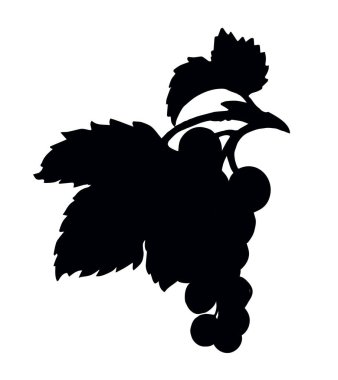 Ana hatları siyah mürekkepli el taze, taze, taze, ham, sağlıklı besleyici, yeşil rubrum tatlı amblemi tasarımı, retro sanat karalama çizgisi baskı stili. Çiçek dalını kapat botanik görüntüsü açık gökyüzü metin alanı deseni