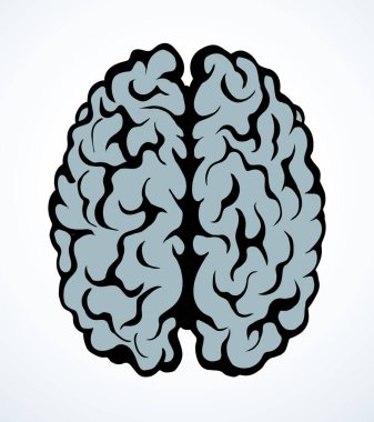 Sağlıklı nöron, ışık arkaplanındaki mantık kısmını hisseder. Çizgi siyah mürekkep eli, sinir korteksi, beyin beyin logosu ve karalama sanatı retro karikatür tarzında resim çizimi çizdi. Yan kesit makro görünümü