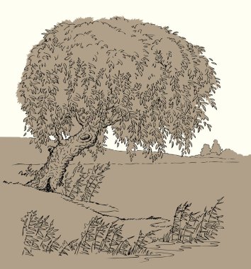 Eskimiş siyah mürekkep kalem el, sükunet ve sükunet dolu sonbahar manzarası eskimiş sanat karalama çizgisi tarzı. Yakın sakin dere kamışı bitkisi arazi manzaralı beyaz gökyüzü metin arkaplanı