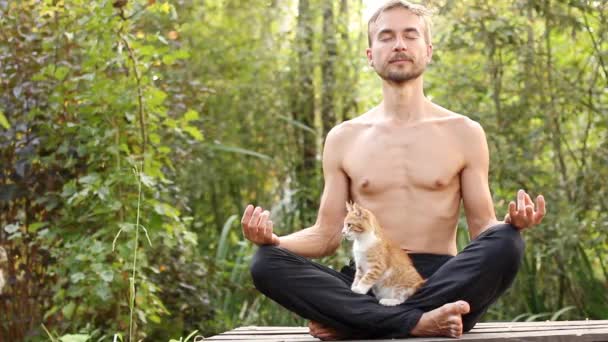 Homem Barbudo Sentado Pose Lótus Com Olhos Fechados Meditando Gatinho — Vídeo de Stock