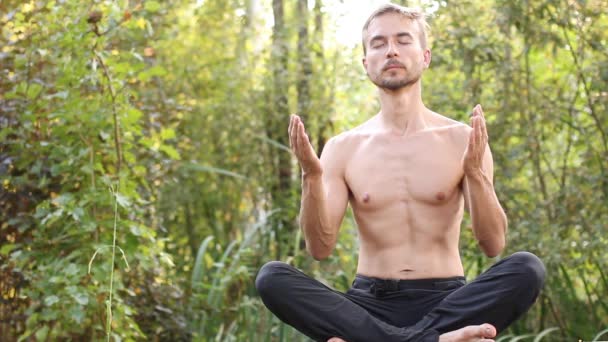 自然瑜伽 年轻的大胡子男子坐在莲花的姿态 闭上眼睛沉思 他把双手叠在胸前 背景绿色森林 — 图库视频影像