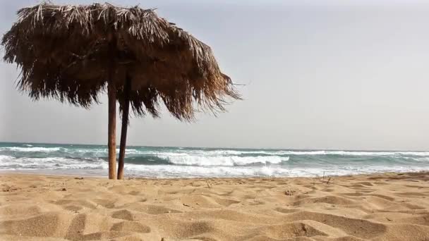 Jonge Knappe Man Loopt Langs Het Strand Tegen Grote Golven — Stockvideo