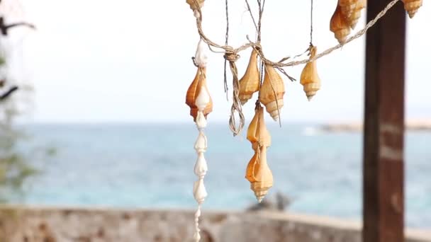 Decoración Interior Conchas Contra Fondo Azul Del Mar — Vídeos de Stock