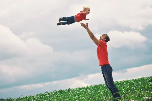 Vater Wirft Kind Den Himmel Auf Einem Maisfeld Stehend Sie — Stockfoto