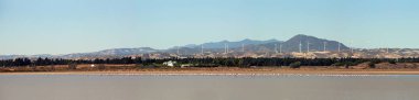 Panorama. Larnaka Tuz Gölü, Cypr pembe flamingolar sürü