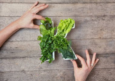 Gıda konseptinde K vitamini. Kadın elleri plaka tutan