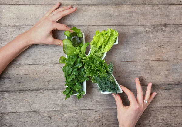 Vitamin K dalam konsep makanan. Tangan wanita memegang piring di sh — Stok Foto