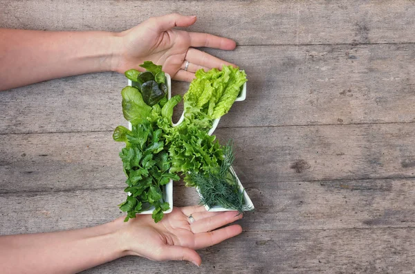 Gıda konseptinde K vitamini besin. Kadının elleri mektup tutuyor.