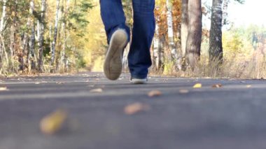 Zemin seviyesine atış yakışıklı hipster adamın sırt çantası ile bir sonbahar Park boş bir yolda uzaklaşır. Keşif güzel sonbahar sezon.