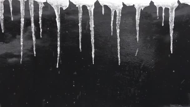 Концепція Зимового Фону Ряд Бурульок Чорній Текстурованій Стіні Падаючий Сніг — стокове відео