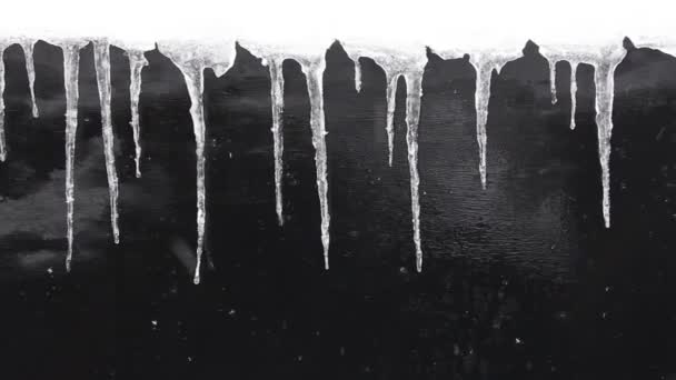 Концепция Зимнего Фона Ряда Сосулек Черной Фактурной Стены Падающим Снегом — стоковое видео