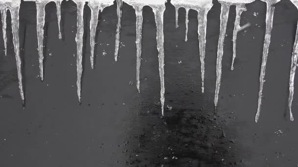 Concept Fond Hiver Neige Tombant Sur Mur Texturé Noir Mouillé — Video