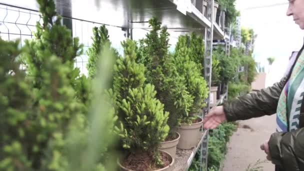 Pandangan Samping Wanita Dewasa Pelanggan Memilih Bibit Cemara Untuk Kebunnya — Stok Video