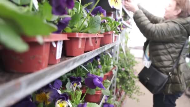 Dentro Tienda Viveros Fila Bastidores Con Plántulas Flores Mujeres Maduras — Vídeo de stock