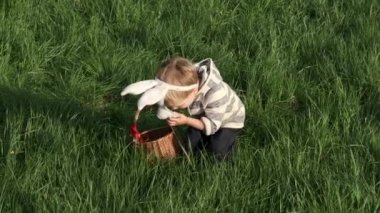 Paskalya günü sepeti olan sevimli küçük çocuk. Tavşan maskeli toddler çocuk doğada çim Paskalya yumurtaları için avı. Paskalya kutlaması. Yavaş çekim.