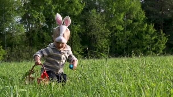 Lindo Niño Pequeño Con Máscara Conejo Busca Huevos Pascua Césped — Vídeo de stock