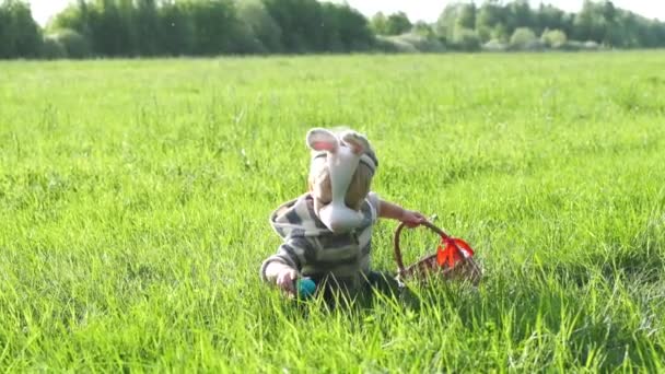 Caça Aos Ovos Páscoa Menino Bonito Traje Coelho Coleta Ovos — Vídeo de Stock