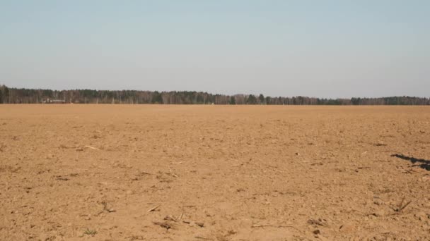 Legrační Farmář Lopatou Kbelíkem Který Při Západu Slunce Skáčou Čerstvě — Stock video