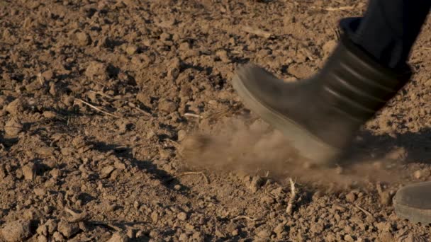 Крупним Планом Ноги Чоловічого Фермера Гумових Чоботях Проходять Через Культивоване — стокове відео