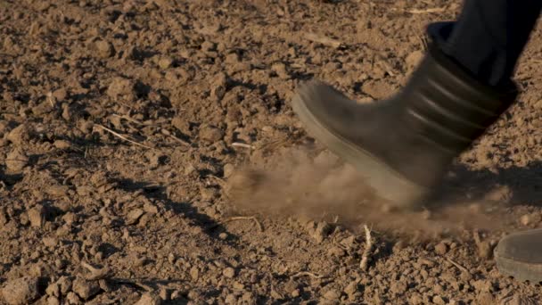 Gambe Ravvicinate Agricoltore Maschio Stivali Gomma Cammina Attraverso Campo Agricolo — Video Stock