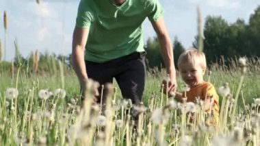 Mutlu baba ve oğul yeşil çayırda koşuyor ve karahindiba şapkalarını çalıyorlar. Yaz tatili. Aile tatili. Yavaş Çekim.