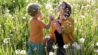 Mutlu neşeli anne ve onun küçük çocuk çiçek alanında oturur ve karahindiba ile oynar. Yavaş çekim.