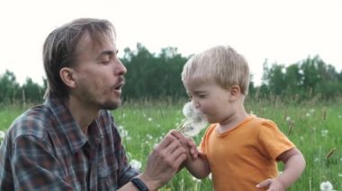 Oğlum yaz çayırında babamla oynuyor. Birlikte karahindiba esirler ve çiçek tohumları rüzgara dağılır. Yavaş Çekim. 